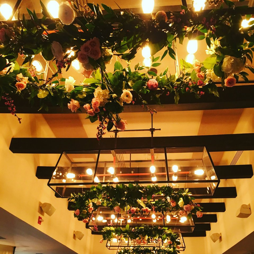 Hanging greenery and roses with warm string lights